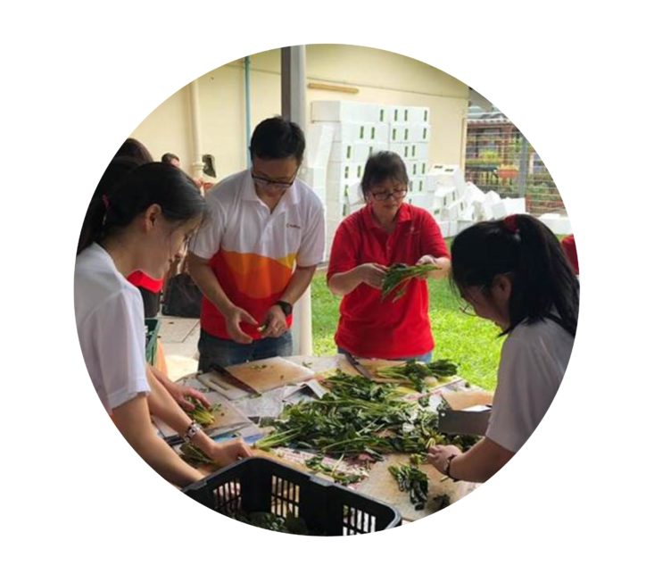 Community Engagement