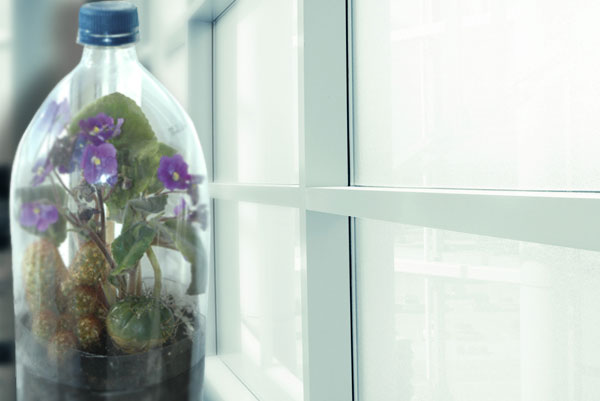 A World in a Bottle